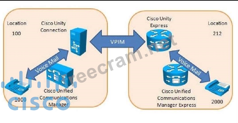 Vlan картинки. Cisco link local. Ccna v6 final exam. 240. All options.