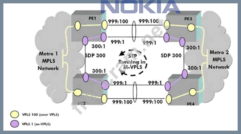 4A0-113 PDF Demo